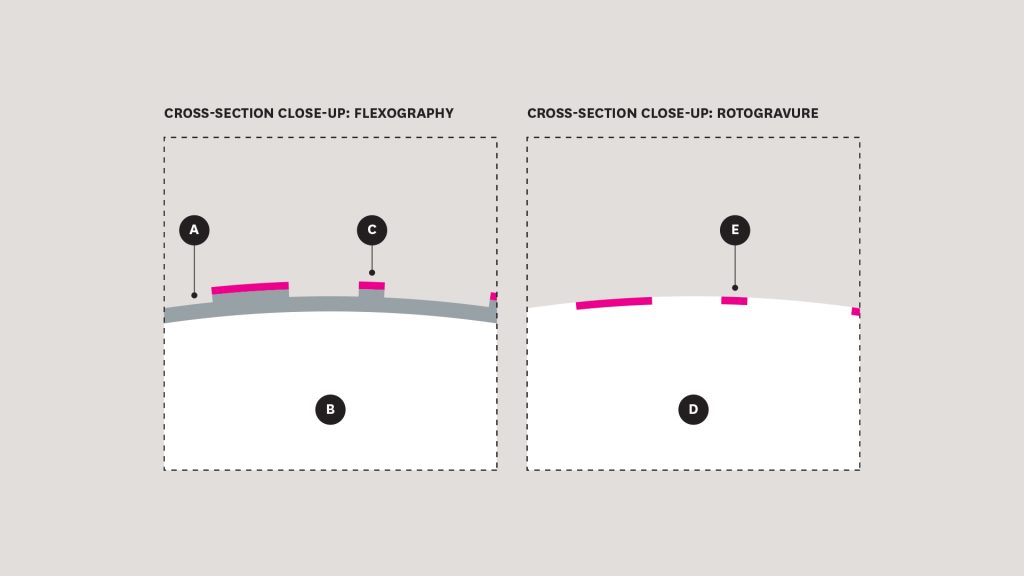 flexographic vs rotogravure